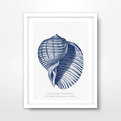 Nautical, Seaside and Shells Art
