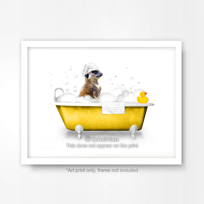Meerkat in the Bath Bathroom Animal Art Print Poster