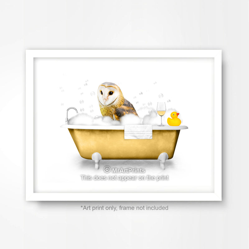 Barn Owl in the Bath Bathroom Animal Art Print Poster