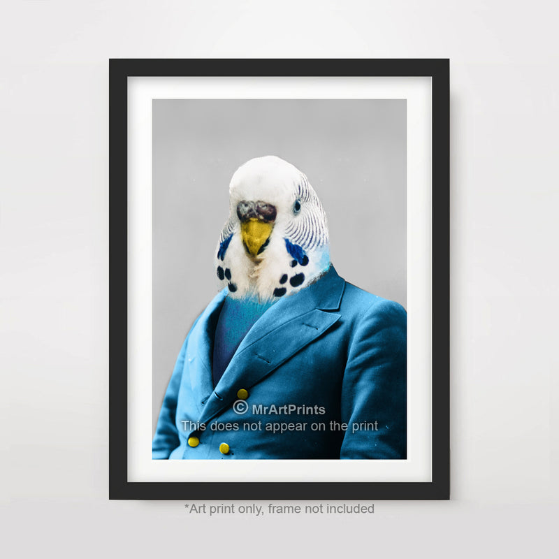 Budgie Budgerigar Bird as a Person Quirky Animal Head Human Body People Portrait Art Print Poster