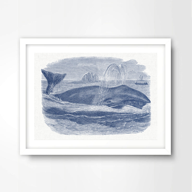 Blue Whale Nautical Seaside Art Print Poster