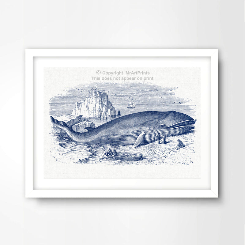 Beached Blue Whale Nautical Seaside Art Print Poster
