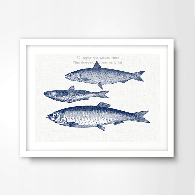 Sea Fishes Nautical Seaside Art Print Poster