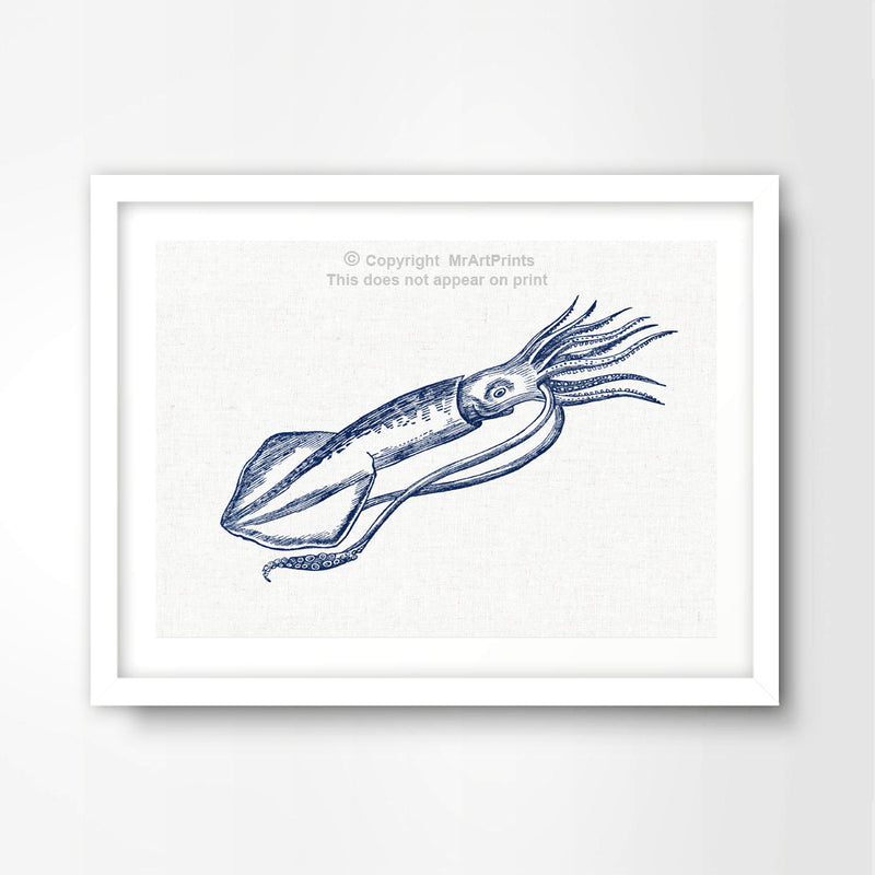 Squid Nautical Seaside Art Print Poster