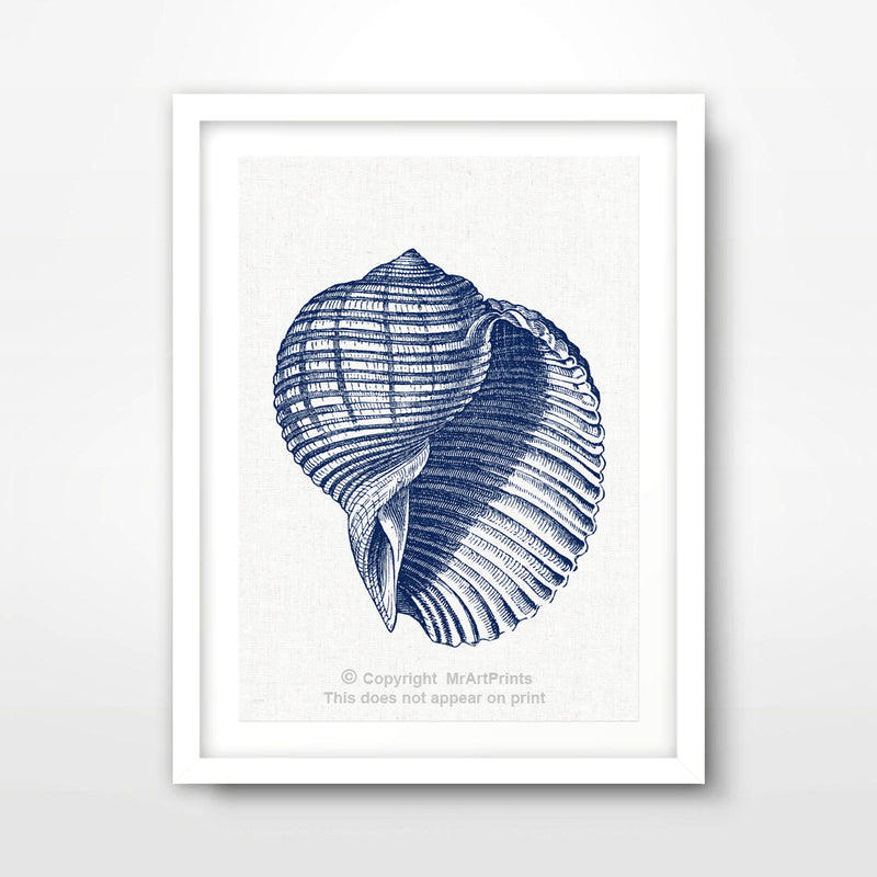 Seashell Nautical Seaside Art Print Poster