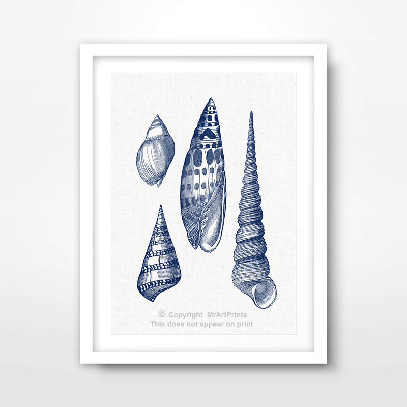 Seashells Nautical Seaside Art Print Poster